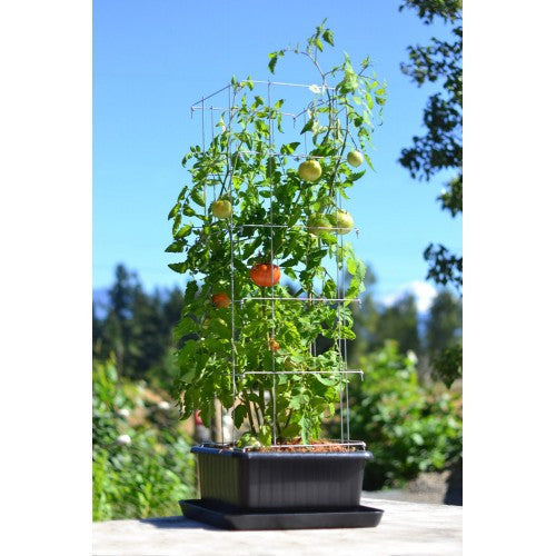 Metro-Grower™ Basic - 6 gallon